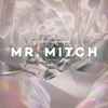 Mr. Mitch (2) - Parallel Memories