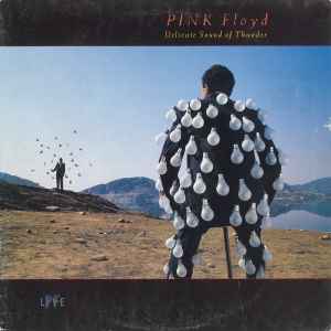 Pink Floyd - Delicate Sound Of Thunder album cover