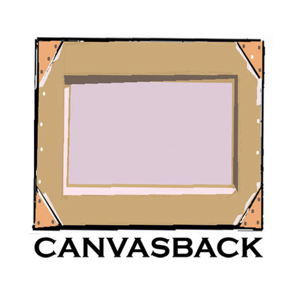 Canvasback image