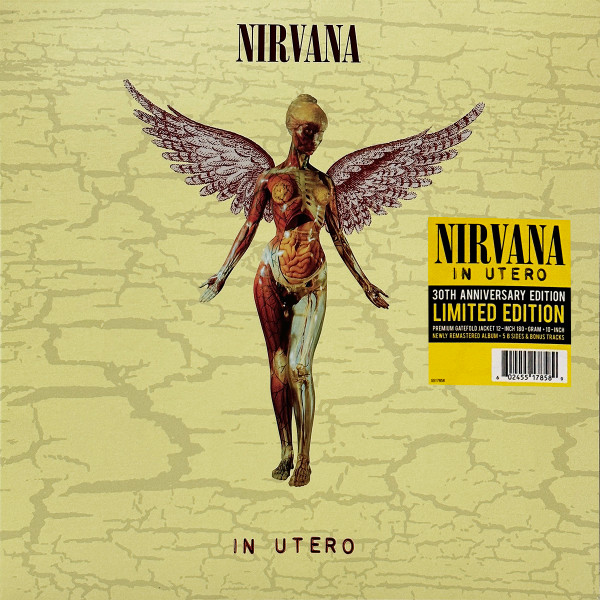 Nirvana: In Utero - 30th Anniversary Edition (180g) Vinyl LP+10