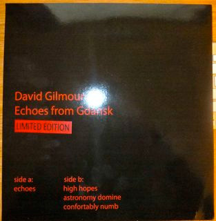 last ned album David Gilmour - Echoes From Gdańsk