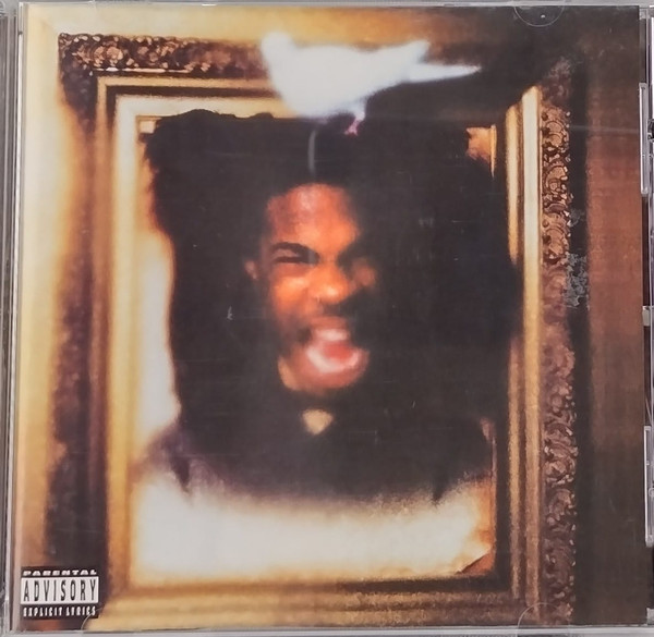 Busta Rhymes – The Coming (CD) - Discogs