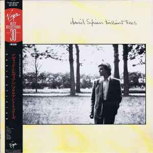 David Sylvian - Brilliant Trees = ブリリアント・トゥリーズ album cover