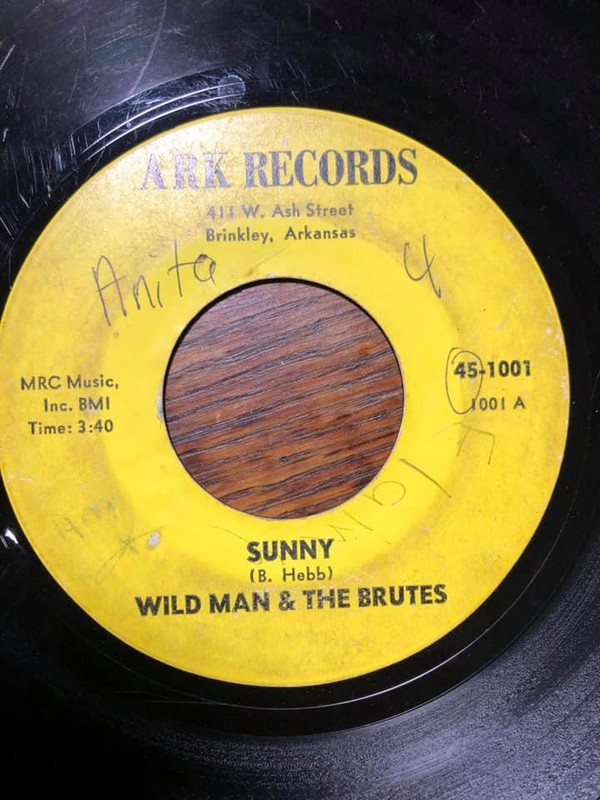 ladda ner album Wild Man & The Brutes - Sunny Its All Right