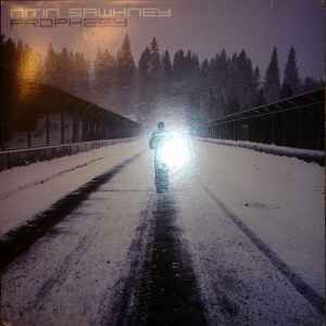 Nitin Sawhney – Beyond Skin (1999, Vinyl) - Discogs