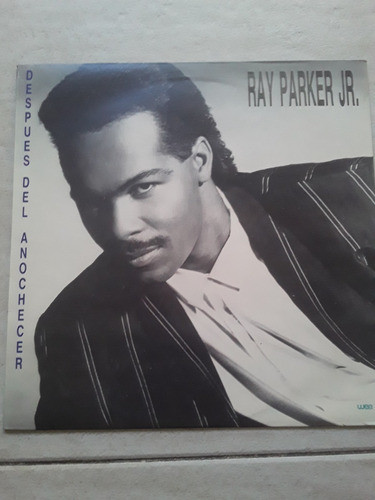 Ray Parker Jr. – After Dark (1987, Vinyl) - Discogs