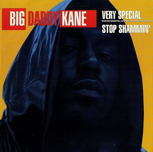 descargar álbum Big Daddy Kane Featuring Spinderella, Laree Williams And Karen Anderson - Stop Shammin Very Special