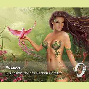 Pulsar (29) - In Captivity Of Evterpy (Mix) album cover