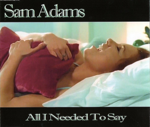 last ned album Sam Adams - All I Needed To Say