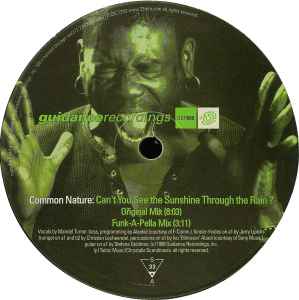 Common Nature - Can't You See The Sunshine Through The Rain ?