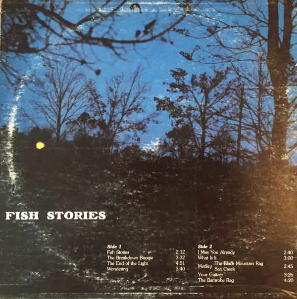 descargar álbum David Lutken - Fish Stories