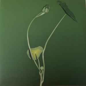 Farallons - Plant Life album cover
