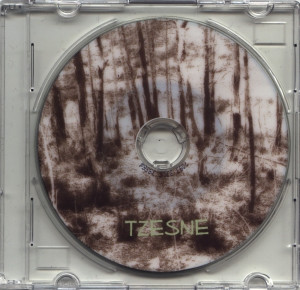 last ned album Tzesne - Crossing TierraHueca