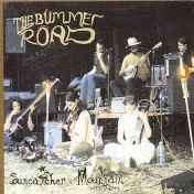 The Bummer Road - Suncatcher Mountain album cover
