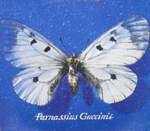 Francesco Guccini-Parnassius Guccinii copertina album