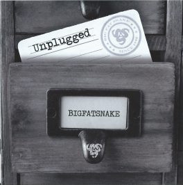 last ned album Big Fat Snake - Unplugged