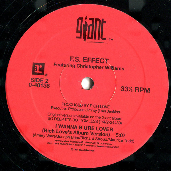lataa albumi FS Effect Featuring Christopher Williams - I Wanna B Ure Lover