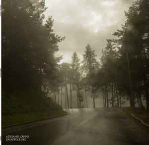 Adriano Zanni - Disappearing album cover