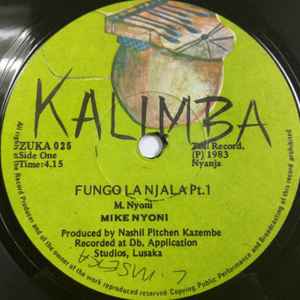 Mike Nyoni - Fungo La Njala