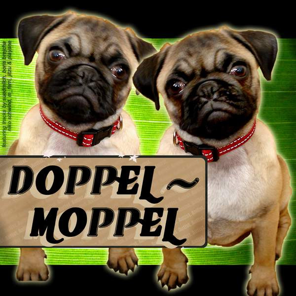 descargar álbum Various - Doppel Moppel