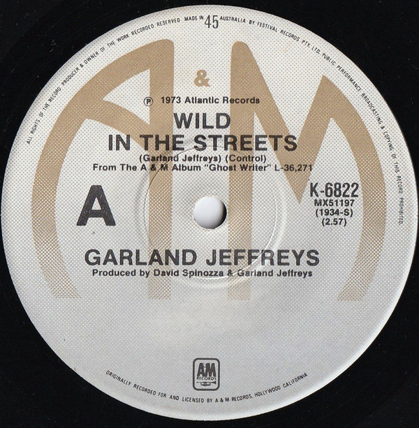 descargar álbum Garland Jeffreys - Wild In The Street