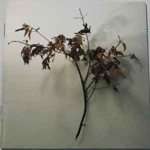 Copeland – Beneath Medicine Tree (2003, CD) - Discogs