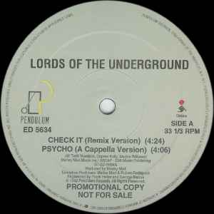 Lords Of The Underground - Check It album cover