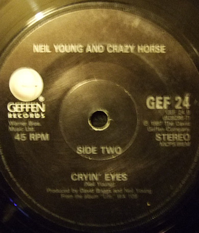 baixar álbum Neil Young & Crazy Horse - Long Walk Home