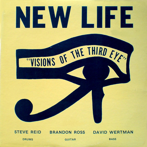 New Life Trio – Visions Of The Third Eye (2022, Vinyl) - Discogs