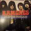 Ramones - The Kids Are Ready To Go (Montevideo - Uruguay 14-11-1994 FM Broadcast)