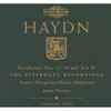 Haydn*, Austro-Hungarian Haydn Orchestra, Adam Fischer (2) - Symphonies Nos. 21-39 And 'A' & 'B' - The Esterházy Recordings - Volume Two