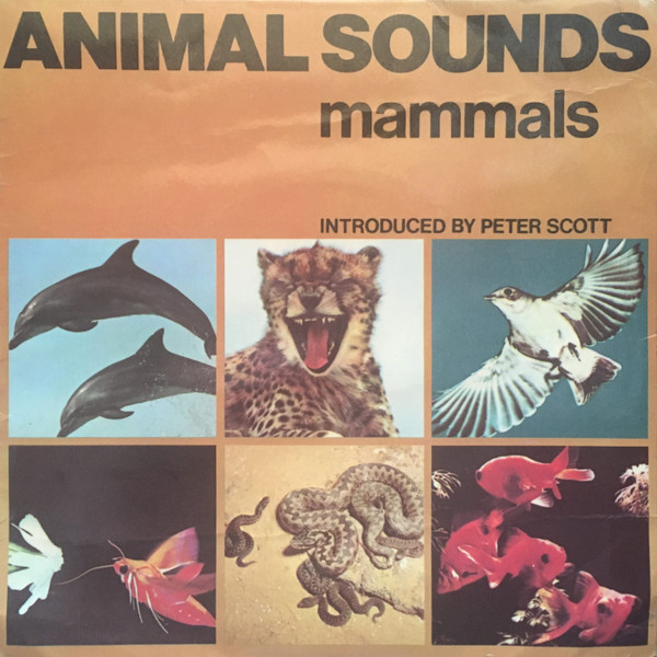Album herunterladen Unknown Artist - Animal Sounds Mammals