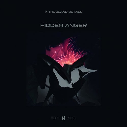 télécharger l'album A Thousand Details - Hidden Anger