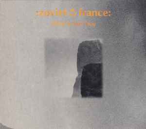 Zoviet France - What Is Not True Album-Cover