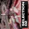 Various - Inherit Selection 02