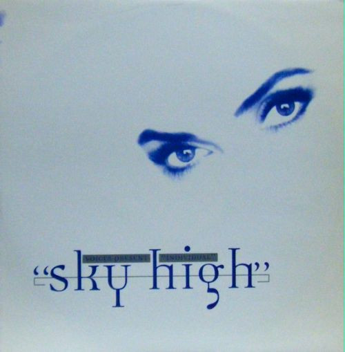 last ned album Voices - Sky High