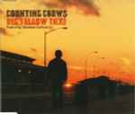 Big Yellow Taxi / Counting Crows Featuring Vanessa Carlton