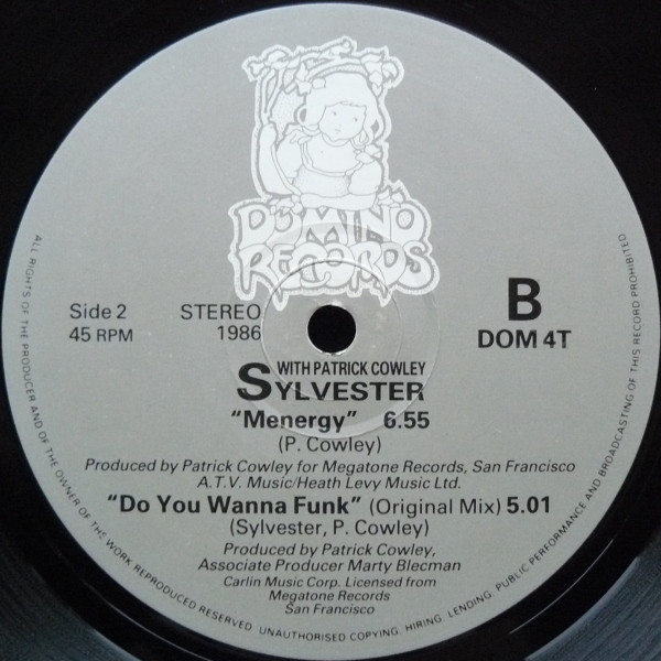télécharger l'album Sylvester With Patrick Cowley - Do You Wanna Funk