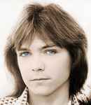 ladda ner album David Cassidy - For Love Love In Bloom