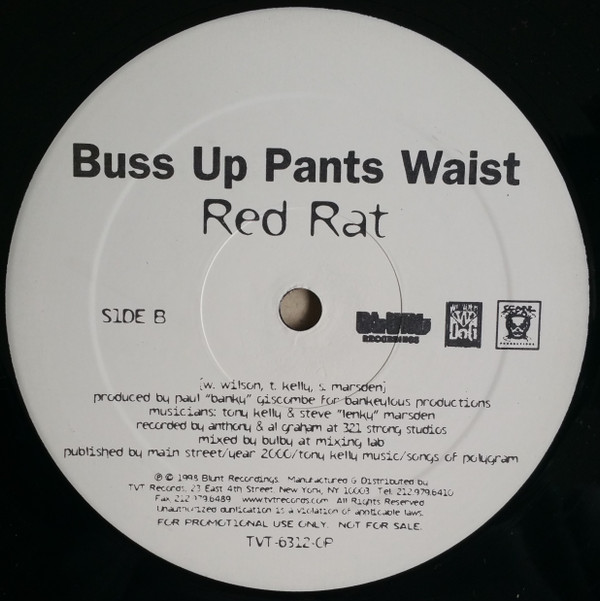 lataa albumi Scare Dem Crew Red Rat - Dis Scare Dem Buss Up Pants Waist