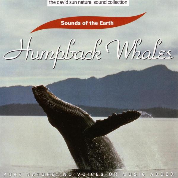 David Sun, Humpback Whale – Humpback Whales (1997, CD) - Discogs