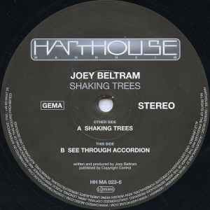 Joey Beltram - Shaking Trees album cover