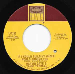 If I Could Build My Whole World Around You - Marvin Gaye & Tammi Terrell