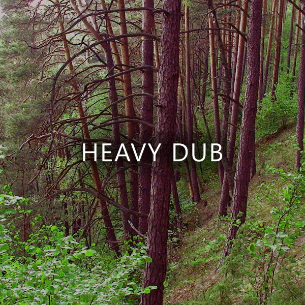 descargar álbum Various - Heavy Dub