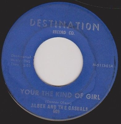 baixar álbum Albee And The Casuals - Your The Kind Of Girl Good Things