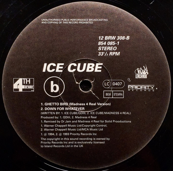 baixar álbum Ice Cube - Bop Gun One Nation