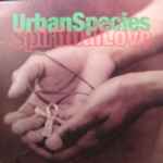 Urban Species – Spiritual Love (1994, Vinyl) - Discogs