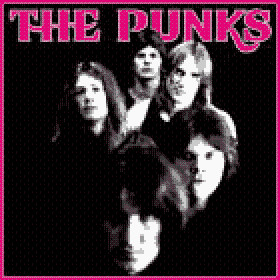 The Punks – The Punks (2005, Vinyl) - Discogs