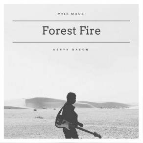 Album herunterladen Aeryk Bacon - Forest Fire