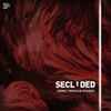 Secluded - Going Through Phases